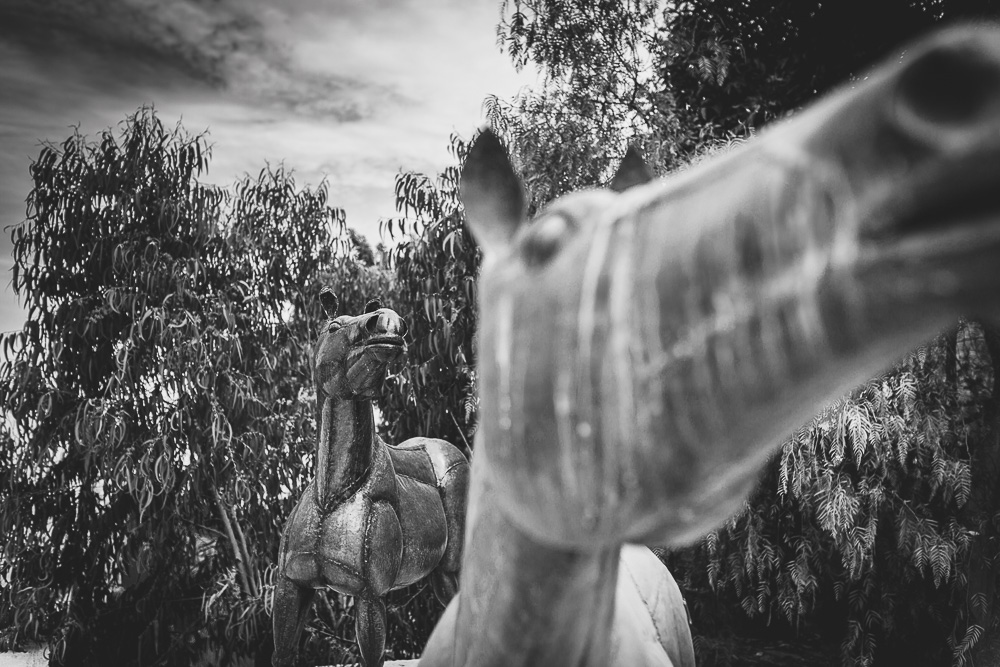Barranco Book project ©arnaud texier victor delfin